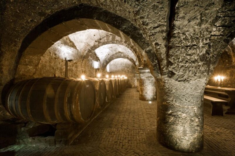 Trier: Discovery tour - Germany's oldest wine cellar - Who Will Love This Tour?