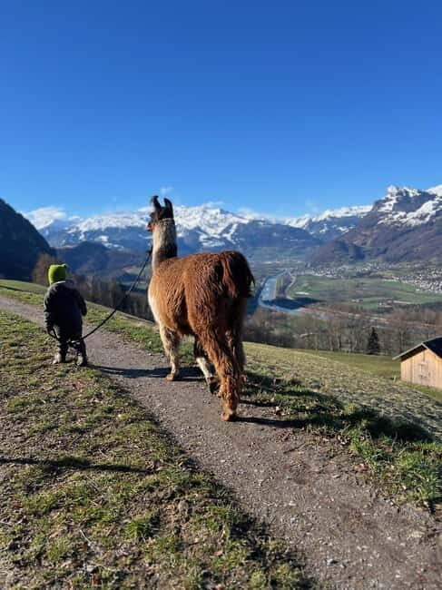 Triesenberg: Walk with Llamas in the Mountains - An Informative Overview of the Tour