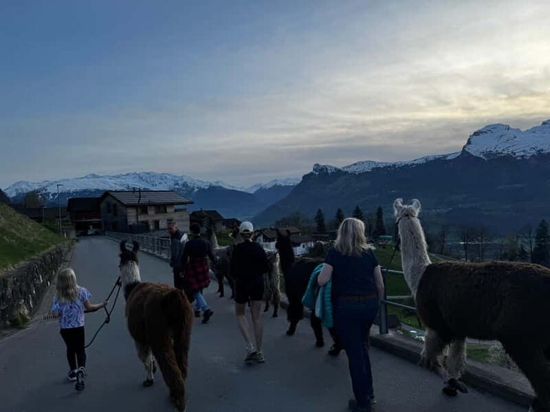 Triesenberg: Walk with Llamas in the Mountains - The Scenic Highlights
