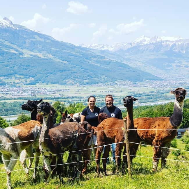 Triesenberg: Walk with Llamas in the Mountains - The Value and Pricing