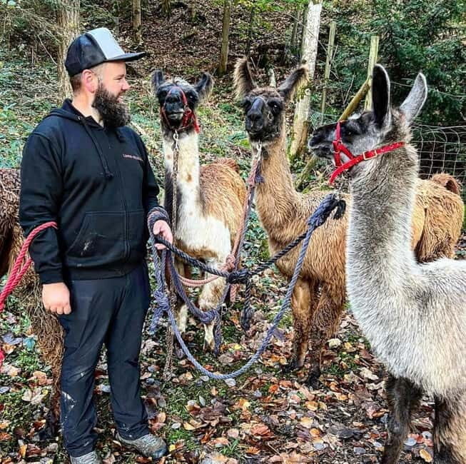 Triesenberg: Walking Tour with Llamas and Cheese Raclette - Key Points