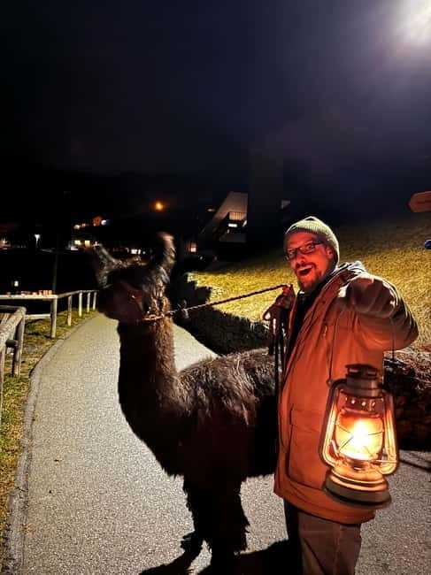 Triesenberg: Walking Tour with Llamas and Cheese Raclette - An Overview of the Experience