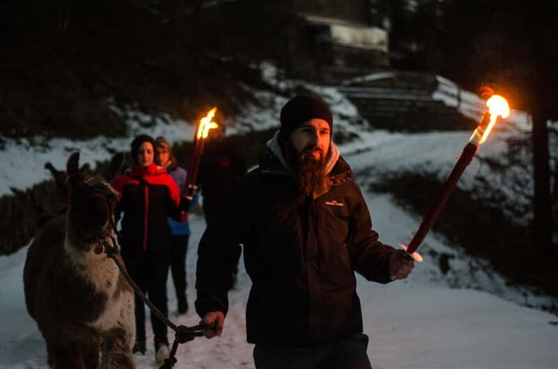 Triesenberg: Walking Tour with Llamas and Cheese Raclette - Authenticity and Traveler Feedback