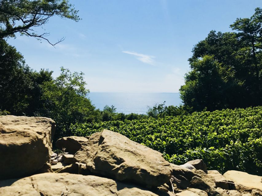 Trieste: 2.5-Hour Prosecco Origins Tour and Tastings - Key Points