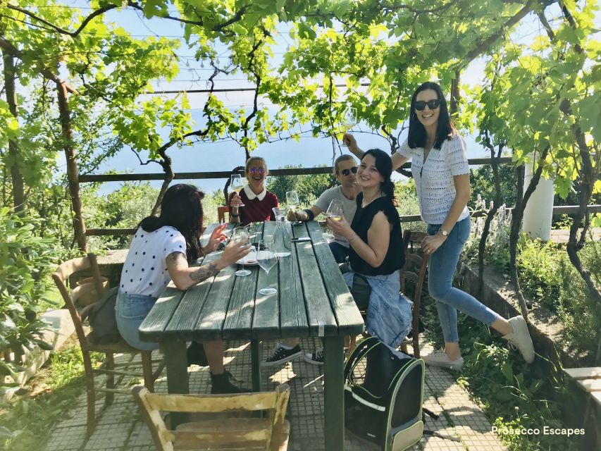 Trieste: 2.5-Hour Prosecco Origins Tour and Tastings - Scenic Views and Historical Significance