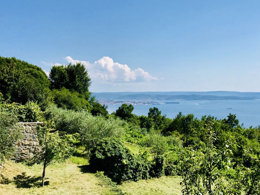 Trieste: 2.5-Hour Prosecco Origins Tour and Tastings - Booking and Cancellation Policies
