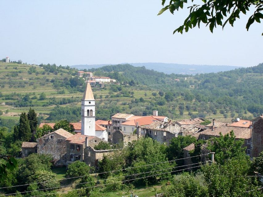 Trieste: Flavors of Istria Tour to Hum, Grožnjan, & Motovun - Tasting Mediterranean Flavors