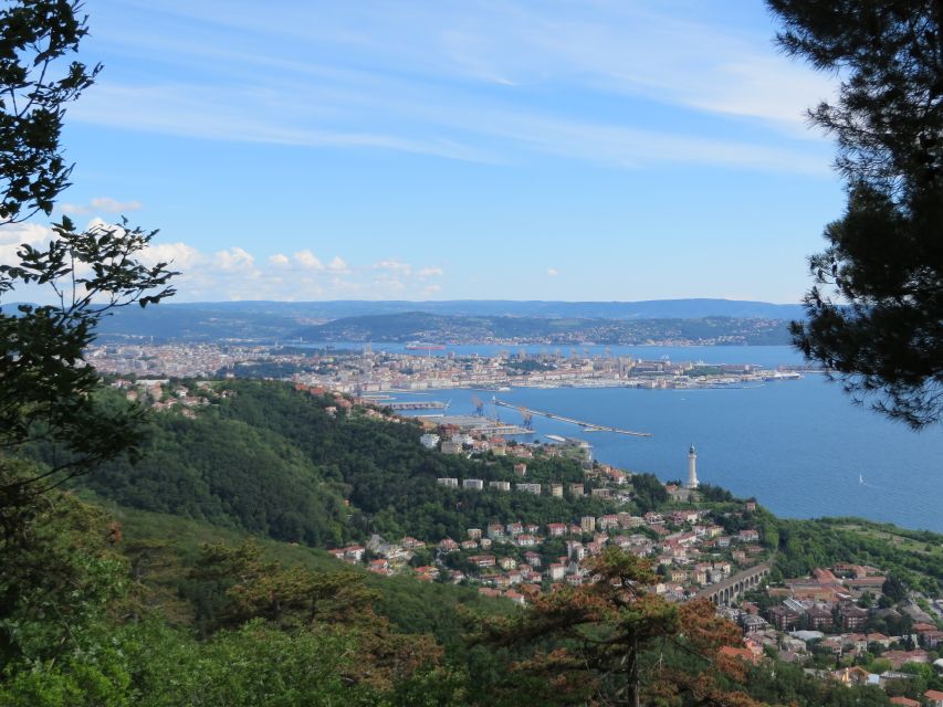Trieste Panoramic City and Miramare Castle Tour - Pickup Locations and Accessibility