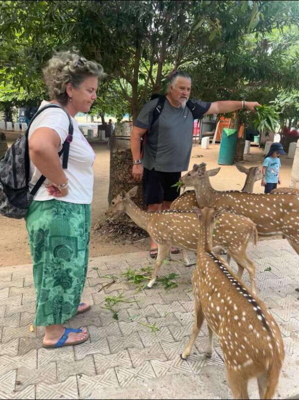 Trincomalee: Tuk-Tuk city tour with a guide - Key Points