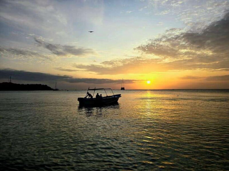 Trincomalee : Whale & dolphin watching +pigeon island tour - An In-Depth Look at the Tour Experience