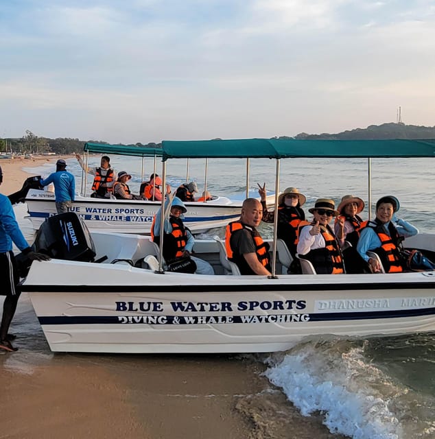 Trincomalee: Whales & Dolphin Watching Tours - Wildlife Sightings