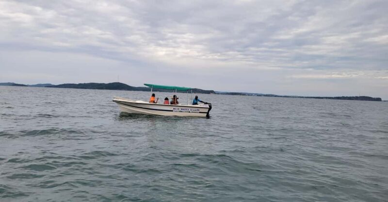 Trincomalee: Whales & Dolphin Watching Tours - Itinerary