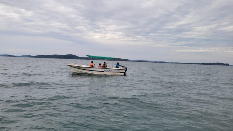 Trincomalee: Whales & Dolphin Watching Tours - Inclusions