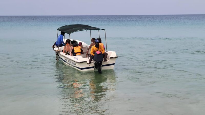 Trincomalee: Whales & Dolphin Watching Tours - Accessibility and Language