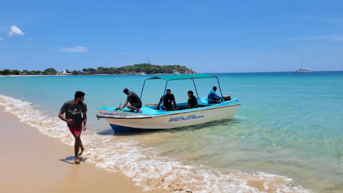 Trincomalee: Whales & Dolphin Watching Tours - Booking and Cancellation