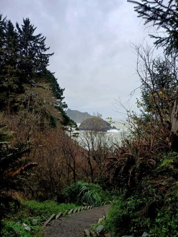 Trinidad: Elk Head Trail Guided Nature Walking Tour - Who Will Love This Tour?