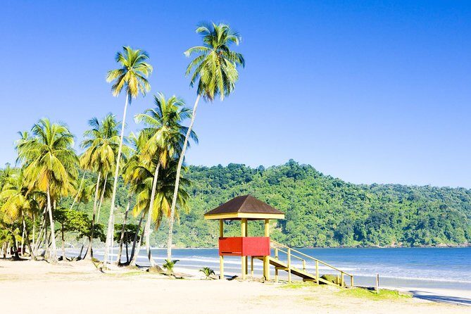 Trinidad Highlights and Scenic Drive Tour - What You Can Expect from the Trinidad Highlights and Scenic Drive Tour