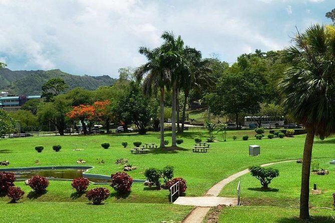 Trinidad Highlights Tour from Port of Spain - Transportation and Comfort