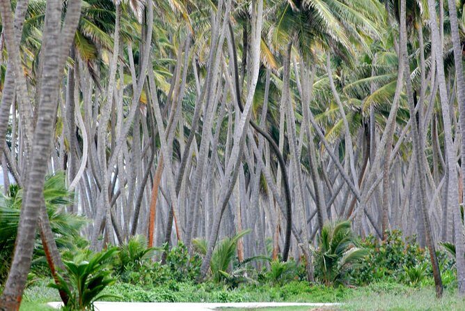 Trinidad Island Circle Tour with Pickup - Exploring the Itinerary: What Youll Experience