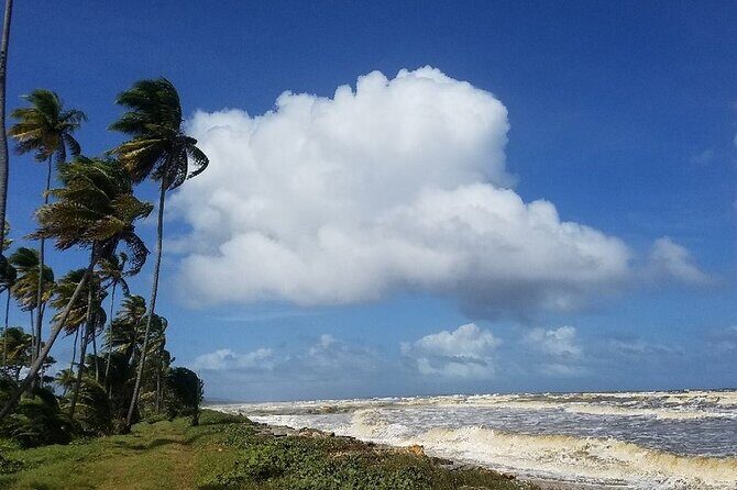 Trinidad Island Circle Tour with Pickup - Who Is This Tour Best For?