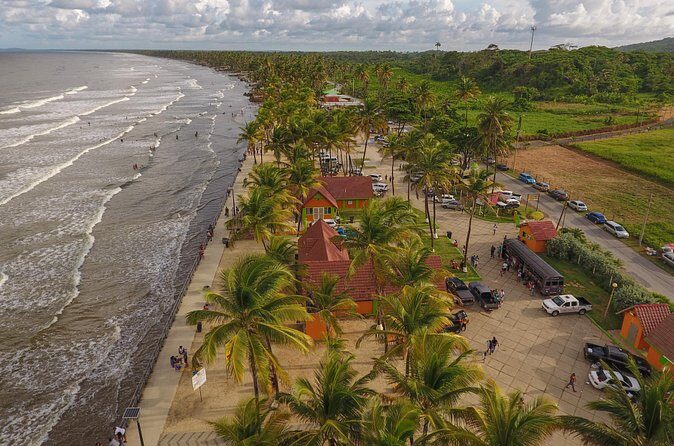 Trinidad Island Circle Tour with Pickup - Final Thoughts