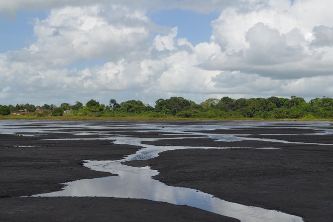 Trinidad Island Sightseeing Tour: Pitch Lake and Chaguanas - Itinerary Details