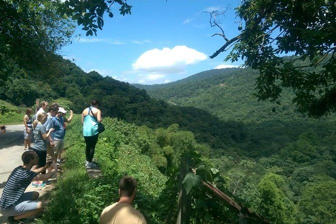 Trinidad Nature and Asa Wright Center Full-Day Tour from Port of Spain - Exploring the Rainforest and Wildlife of Trinidad