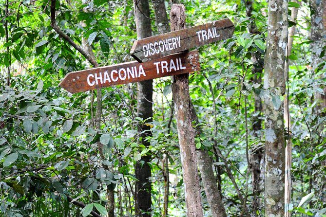 Trinidad Nature and Asa Wright Center Full-Day Tour from Port of Spain - Who Should Consider This Tour?