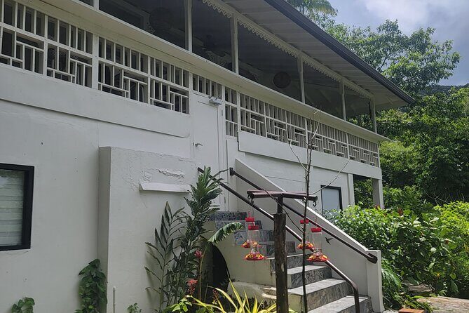 Trinidad Nature and Asa Wright Center Full-Day Tour from Port of Spain - Final Thoughts