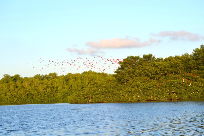 Trinidad Northern Eco-Cultural Full-Day Highlights Tour From Port of Spain - Traveler Experiences