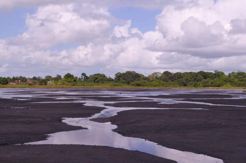 Trinidad: Pitch Lake and Chaguanas Sightseeing Tour - Practical Details and Value