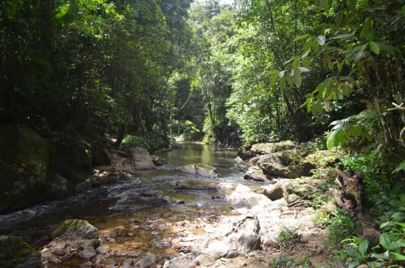 Trinidad: Rainforest Hike to Avocat Waterfall - Key Points