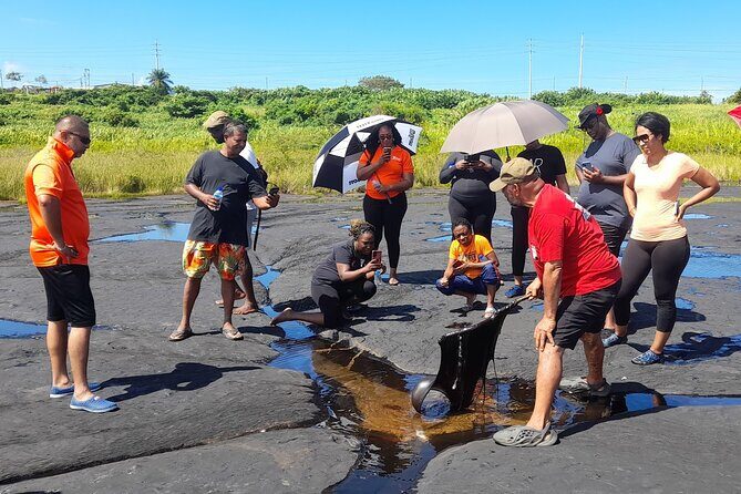Trinidad Treasures Pitch Lake Temple and Scarlet Ibis - Exploring the Trinidad Treasures: Pitch Lake, Temple, and Scarlet Ibis
