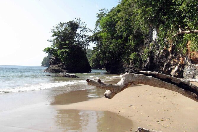 Trinidad True North Coast Excursion - Final Word