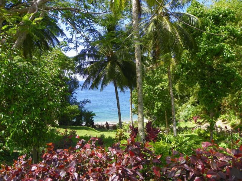 Trinidad: Zip Lining Experience & Fort George Panoramic View - Practical Details and Tips