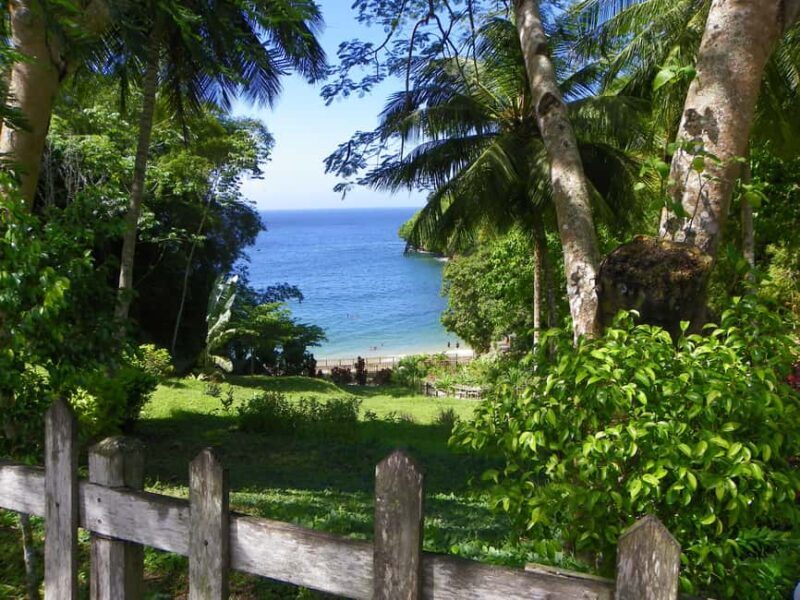 Trinidad: Zip Lining Experience & Fort George Panoramic View - Who Will Enjoy This Tour?