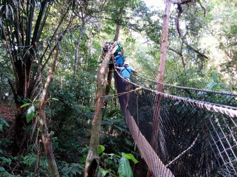 Trinidad: Zip Lining Experience & Fort George Panoramic View - The Bottom Line