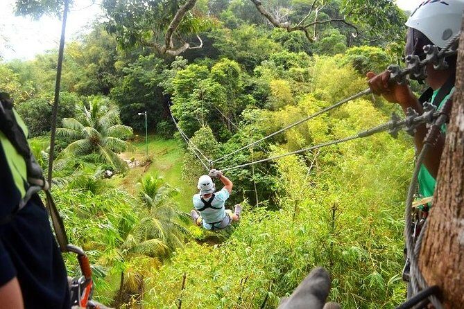 Trinidad Zipline Adventure - Key Points