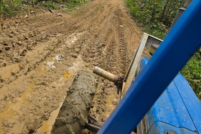 Trinidad's Mud bath - Final Thoughts