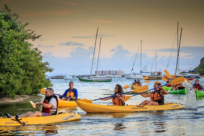 Trio Tour: El Yunque, Luquillo Beach, and Bio Bay Night Kayaking - An In-Depth Look at the Itinerary