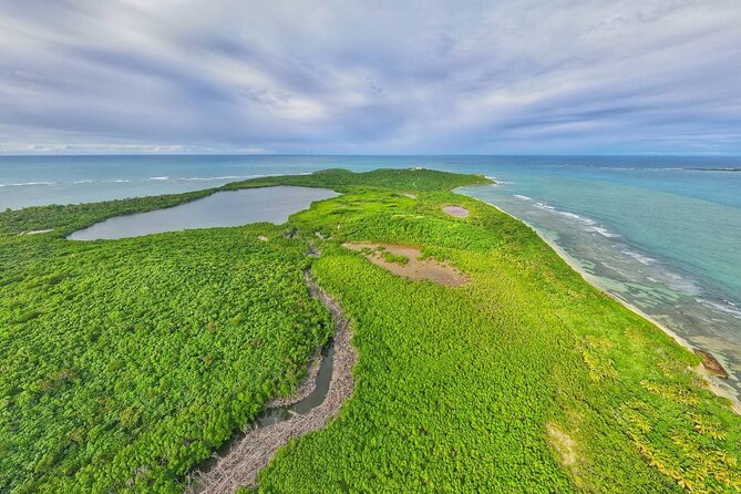 Trio Tour: El Yunque, Luquillo Beach, and Bio Bay Night Kayaking - Customer Experiences and Feedback