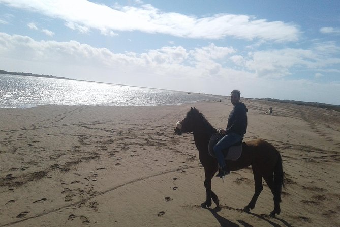 Trip 2 Hours to Natural Area of Agadir City (The Price for Both Riders) - Customer Reviews and Ratings