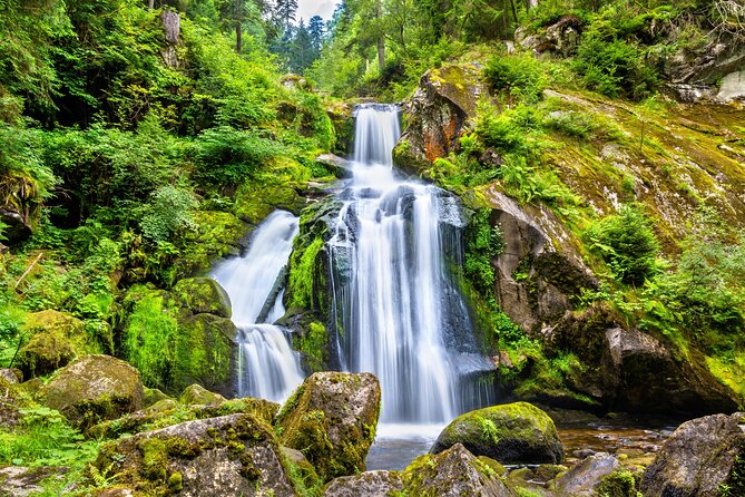 Trip From Zurich to Germanys Black Forest & Swiss Rhine Falls - Highlights: Lake Titisee