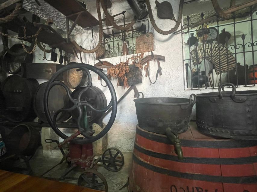 Trip: José Franco Museum Village - Language and Accessibility