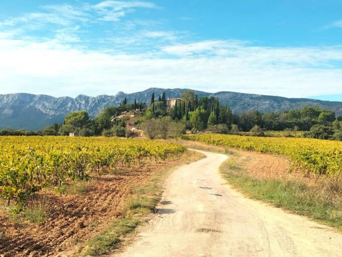 Trip to Aix-en Provence, Marseille & Countryside Wine Tour - Exploring the Peaceful Landscapes and Vineyards