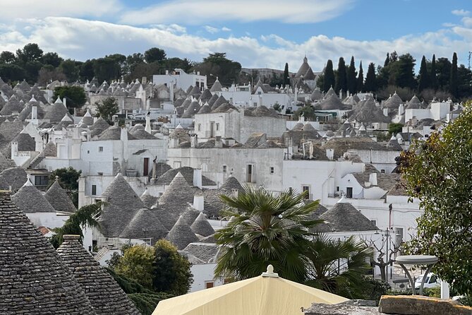 Trip to Alberobello With Trullo Entrance and Transfer From Matera - Provided Amenities