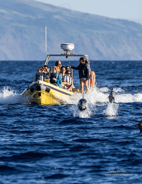 TRIP TO CORVO BY BOAT - An In-Depth Review of the Corvo & Flores Boat Trip