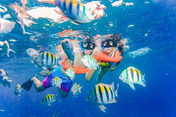 Trip to Isla Mujeres by Catamaran, with snorkeling and drinks - Price and Value Considerations