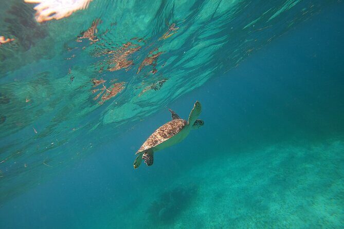 Trip to Mayan Ruins and Caribbean Village with Snorkeling - What We Love About This Tour