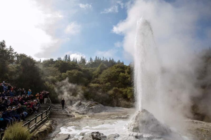 TRIPLE DEAL Wai-O-Tapu, Redwood & Blue Spring from Auckland - Authentic Experiences from Past Travelers